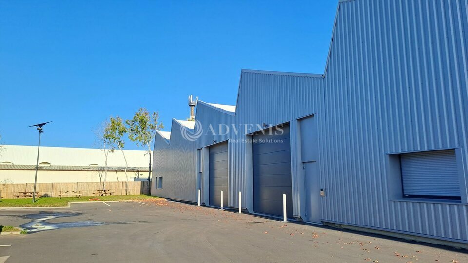 ADVENIS CONSEIL NANTES LOCATION-LOCAL D'ACTIVITE-CARQUEFOU-44