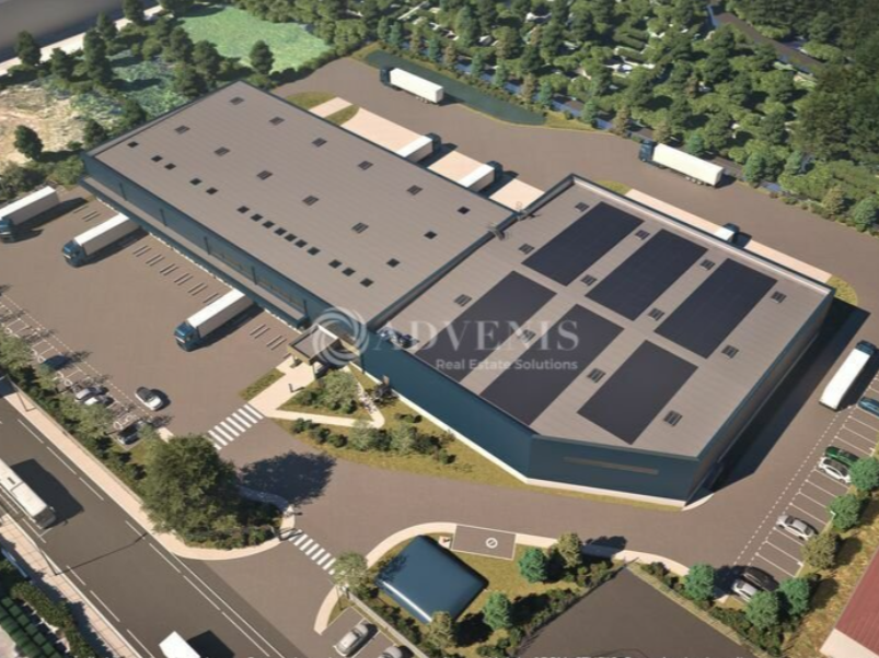 ADVENIS CONSEIL STRASBOURG VENTE-ENTREPOT-ILLKIRCH_GRAFFENSTADEN-67