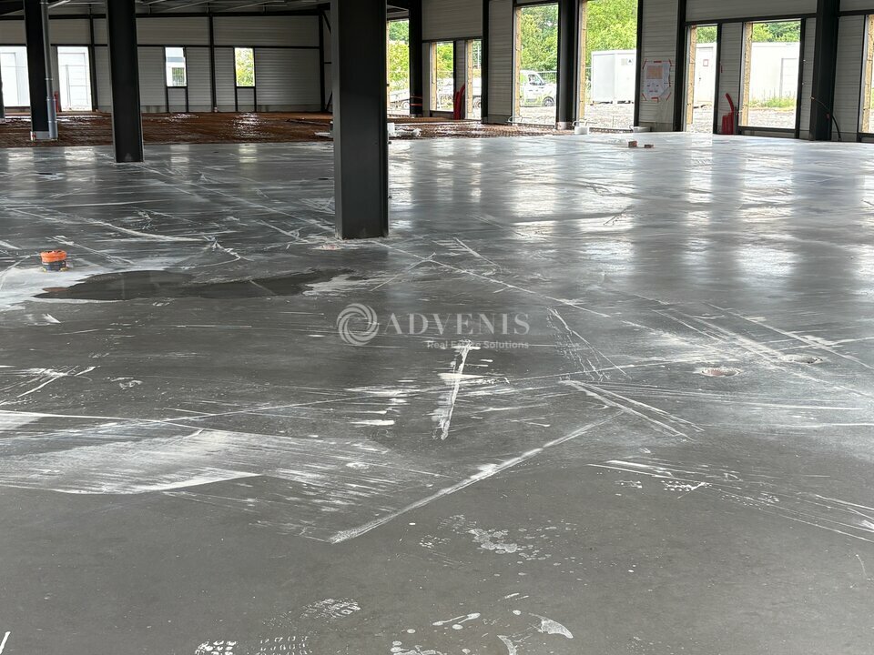 ADVENIS CONSEIL STRASBOURG LOCATION-LOCAL D'ACTIVITE-GEISPOLSHEIM-67