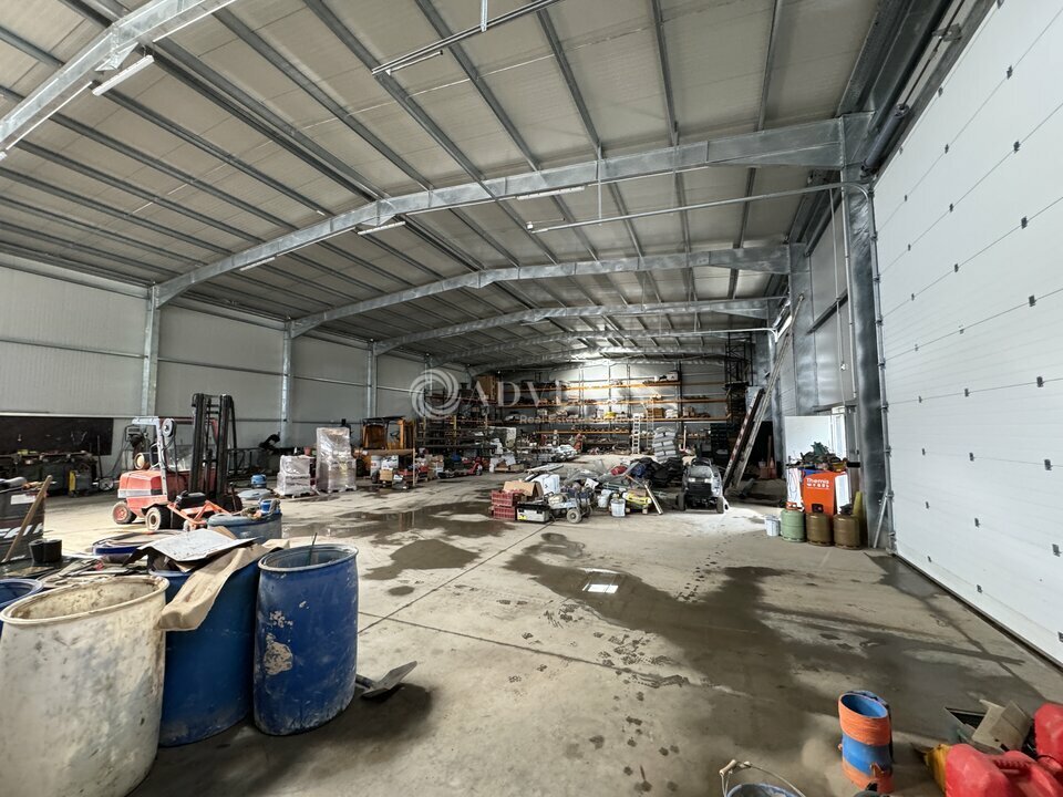 ADVENIS CONSEIL STRASBOURG VENTE-LOCAL D'ACTIVITE-GERSTHEIM-67