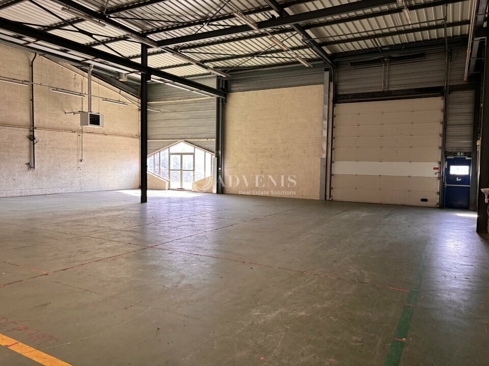 ADVENIS CONSEIL LE MANS VENTE-LOCAL D'ACTIVITE-LE_MANS-72