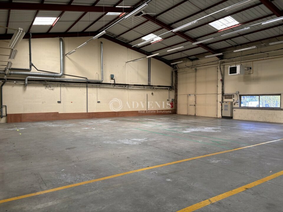 ADVENIS CONSEIL LE MANS VENTE-LOCAL D'ACTIVITE-LE_MANS-72