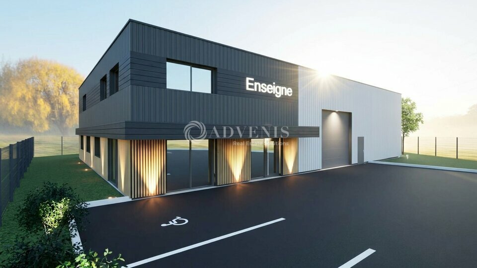 ADVENIS CONSEIL TOURS VENTE-LOCAL D'ACTIVITE-BALLAN_MIRE-37