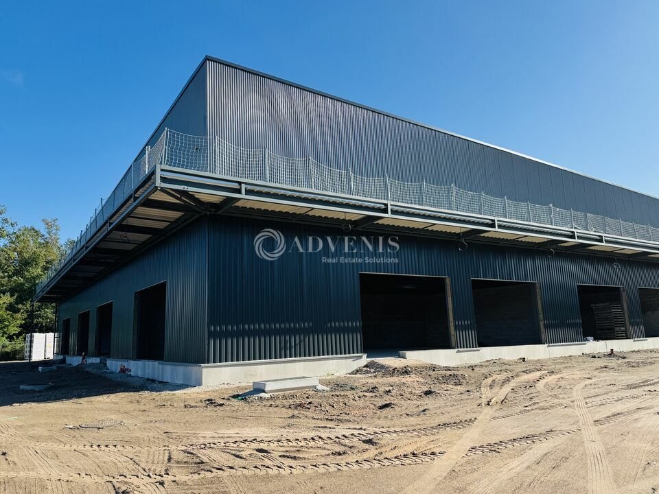 ADVENIS CONSEIL STRASBOURG VENTE-LOCAL D'ACTIVITE-HAGUENAU-67