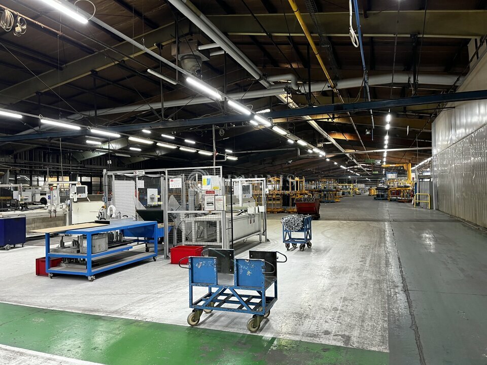 ADVENIS CONSEIL TOURS VENTE-LOCAL D'ACTIVITE-NAZELLES-NEGRON-37