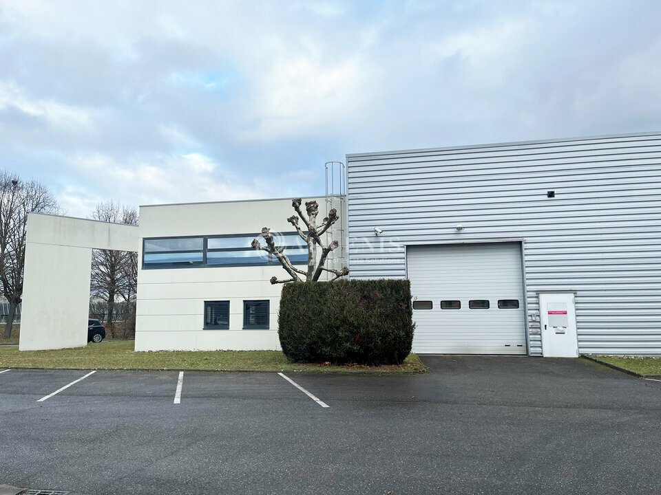 ADVENIS CONSEIL STRASBOURG LOCATION-LOCAL D'ACTIVITE-ROSHEIM-67