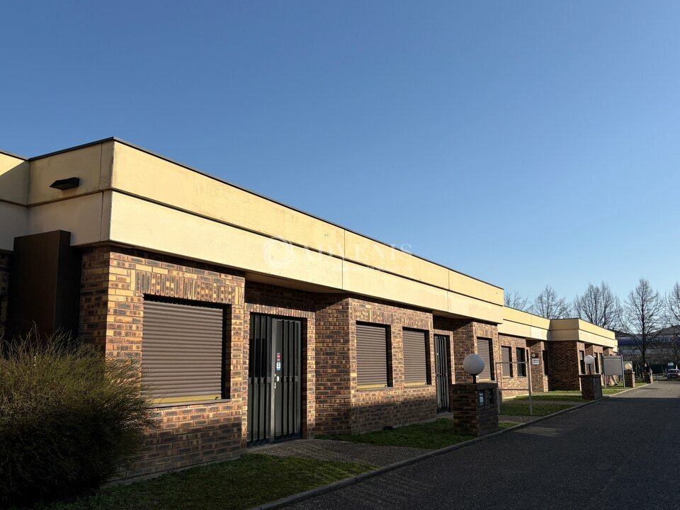 ADVENIS CONSEIL STRASBOURG LOCATION-LOCAL D'ACTIVITE-ECKBOLSHEIM-67