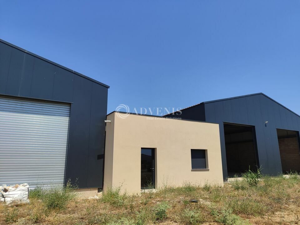 ADVENIS CONSEIL NARBONNE LOCATION-BUREAUX-SAUVIAN-34