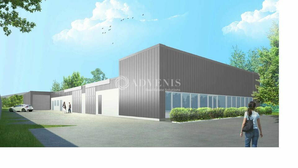 ADVENIS CONSEIL IDF EST LOCATION-LOCAL D'ACTIVITE-LAGNY_SUR_MARNE-77