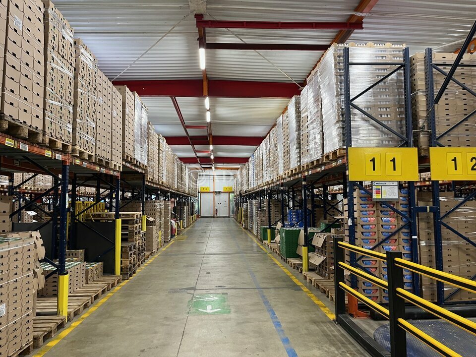 ADVENIS CONSEIL TOURS LOCATION-ENTREPOT-CHAMBRAY-LES-TOURS-37