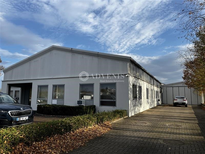 ADVENIS CONSEIL STRASBOURG LOCATION-LOCAL D'ACTIVITE-ENTZHEIM-67