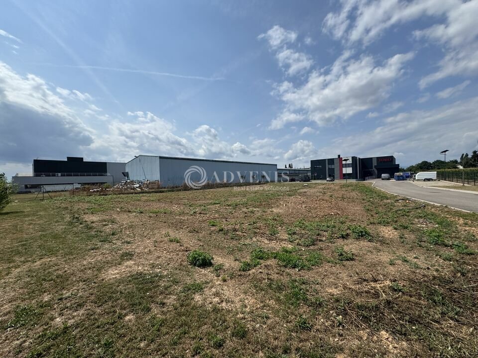 ADVENIS CONSEIL STRASBOURG LOCATION-TERRAIN-DUPPIGHEIM-67