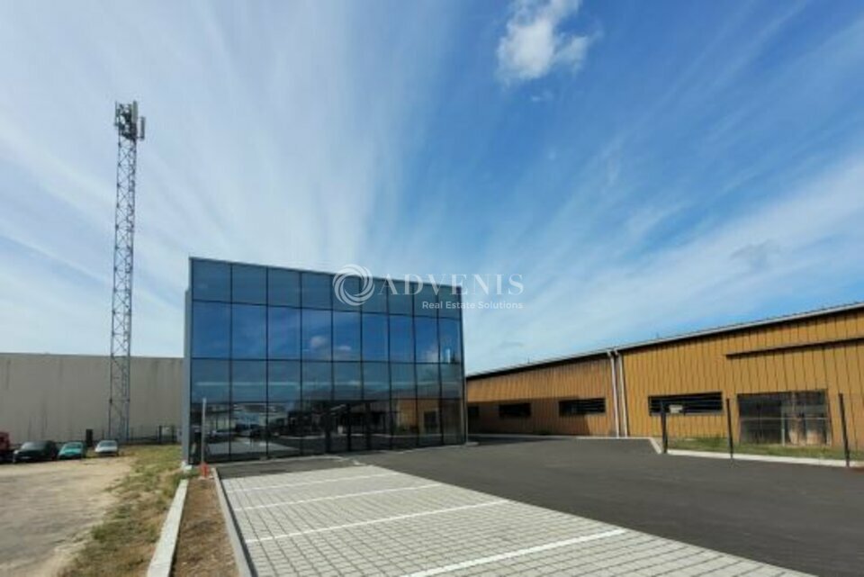 ADVENIS CONSEIL NANTES LOCATION-LOCAL D'ACTIVITE-AIGREFEUILLE_SUR_MAINE-44