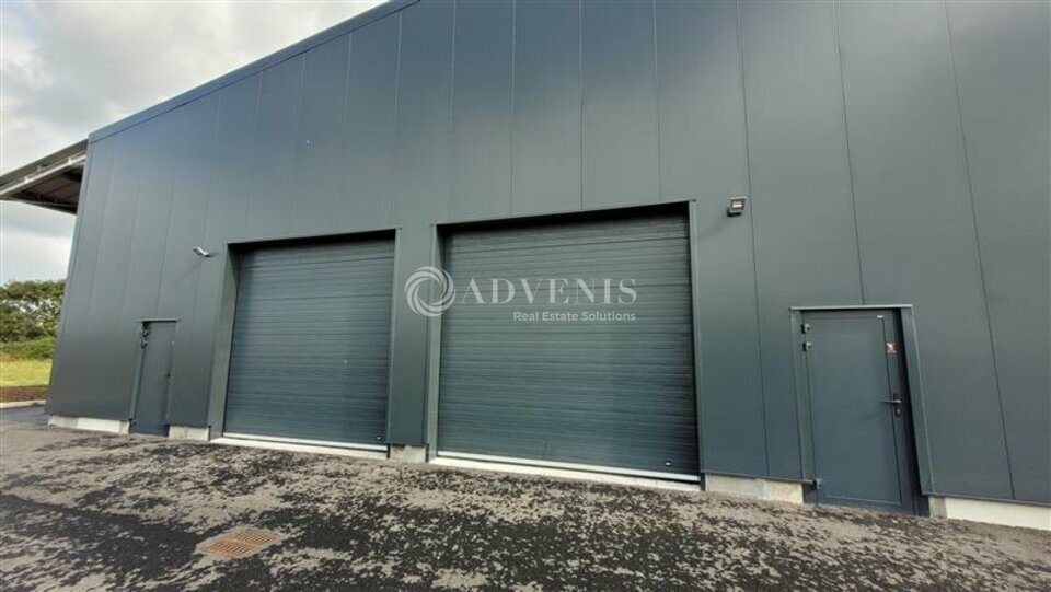 ADVENIS CONSEIL NANTES LOCATION-LOCAL D'ACTIVITE-MALVILLE-44