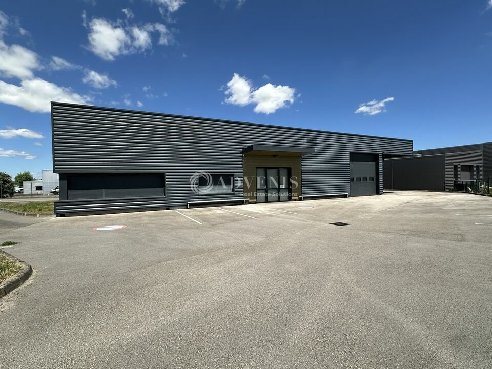 ADVENIS CONSEIL LYON LOCATION-LOCAL D'ACTIVITE-ARNAS-69