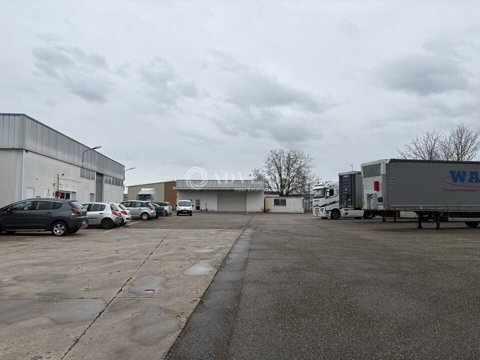 ADVENIS CONSEIL STRASBOURG LOCATION-LOCAL D'ACTIVITE-ILLKIRCH_GRAFFENSTADEN-67