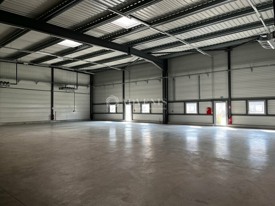 ADVENIS CONSEIL STRASBOURG LOCATION-LOCAL D'ACTIVITE-BISCHHEIM-67