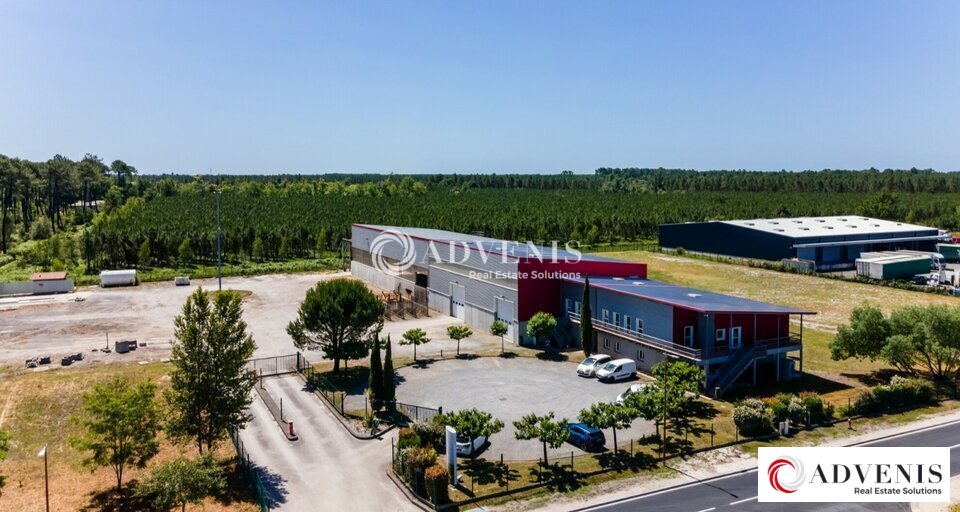 ADVENIS CONSEIL BORDEAUX LOCATION-LOCAL D'ACTIVITE-LE_BARP-33
