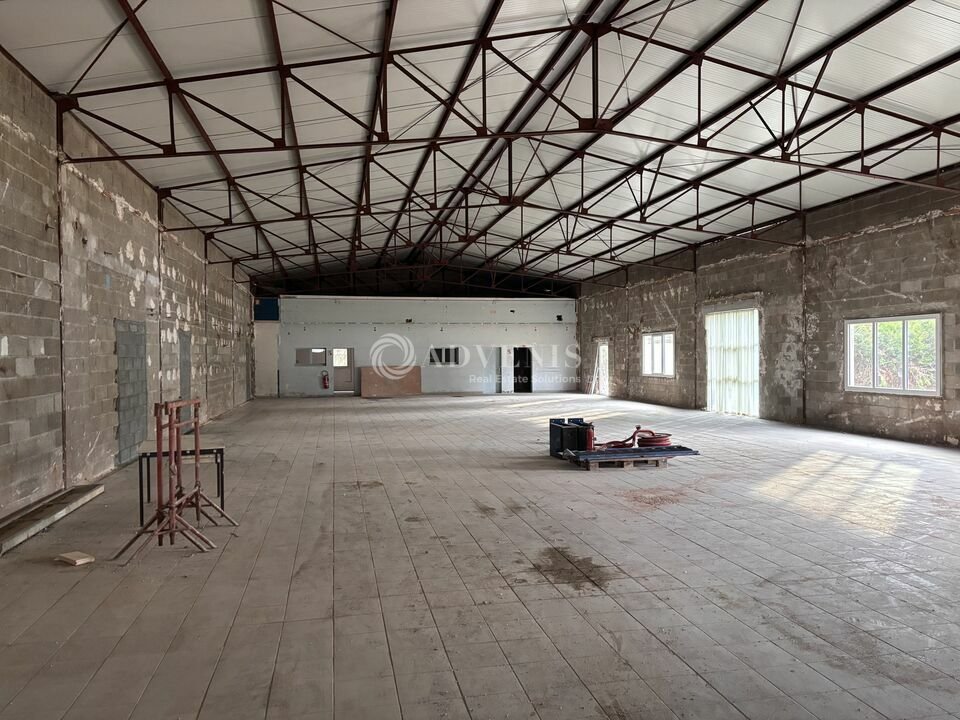 ADVENIS CONSEIL LE MANS LOCATION-LOCAL D'ACTIVITE-MONCE_EN_BELIN-72