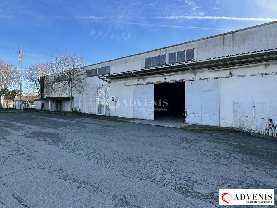 ADVENIS CONSEIL BORDEAUX LOCATION-LOCAL D'ACTIVITE-BEGLES-33
