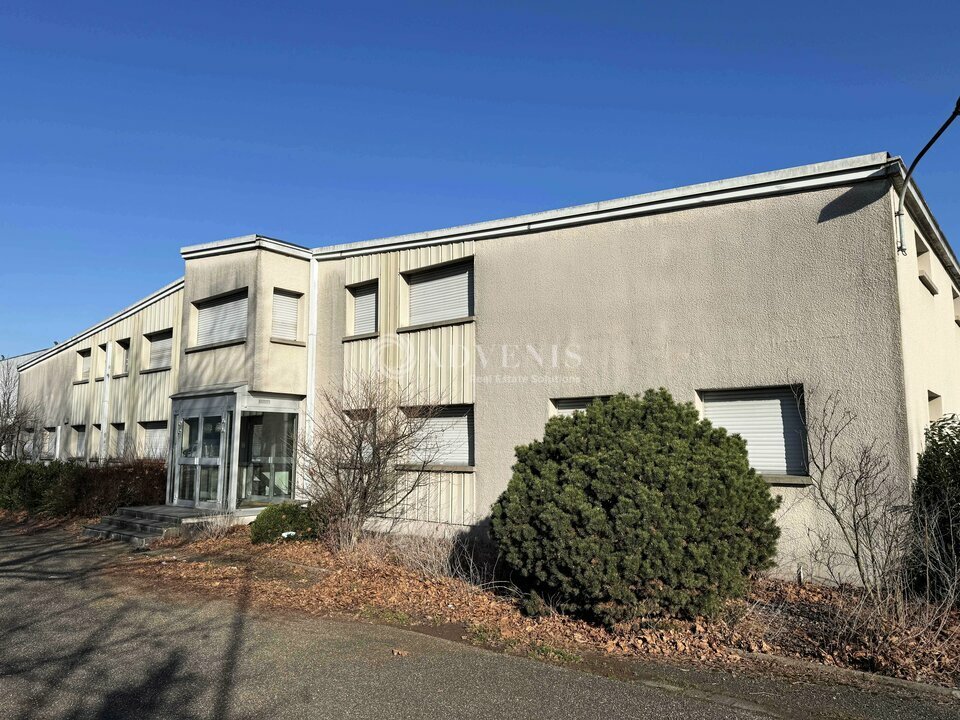 ADVENIS CONSEIL STRASBOURG LOCATION-ENTREPOT-HOERDT-67