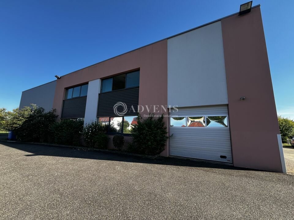 ADVENIS CONSEIL STRASBOURG LOCATION-LOCAL D'ACTIVITE-BISCHOFFSHEIM-67