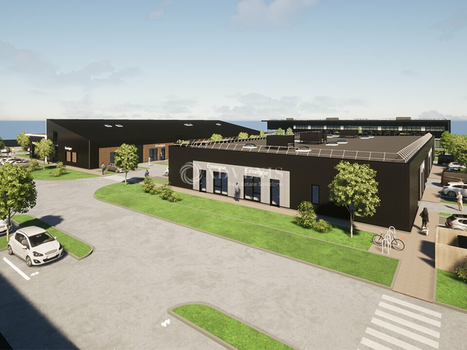 ADVENIS CONSEIL STRASBOURG LOCATION-LOCAL D'ACTIVITE-GEISPOLSHEIM-67