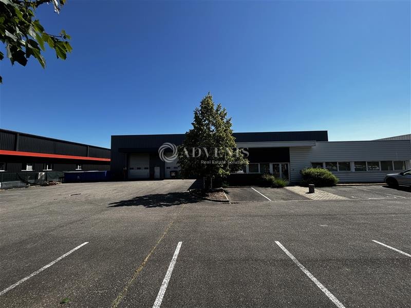 ADVENIS CONSEIL STRASBOURG VENTE-LOCAL D'ACTIVITE-ILLKIRCH_GRAFFENSTADEN-67