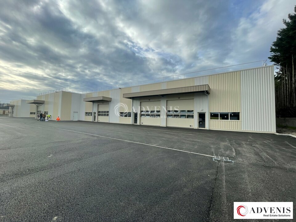 ADVENIS CONSEIL BORDEAUX LOCATION-LOCAL D'ACTIVITE-BLANQUEFORT-33