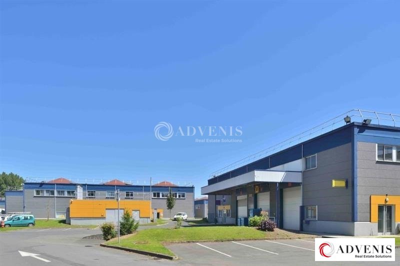 ADVENIS CONSEIL LILLE LOCATION-ENTREPOT-VILLENEUVE_D'ASCQ-59