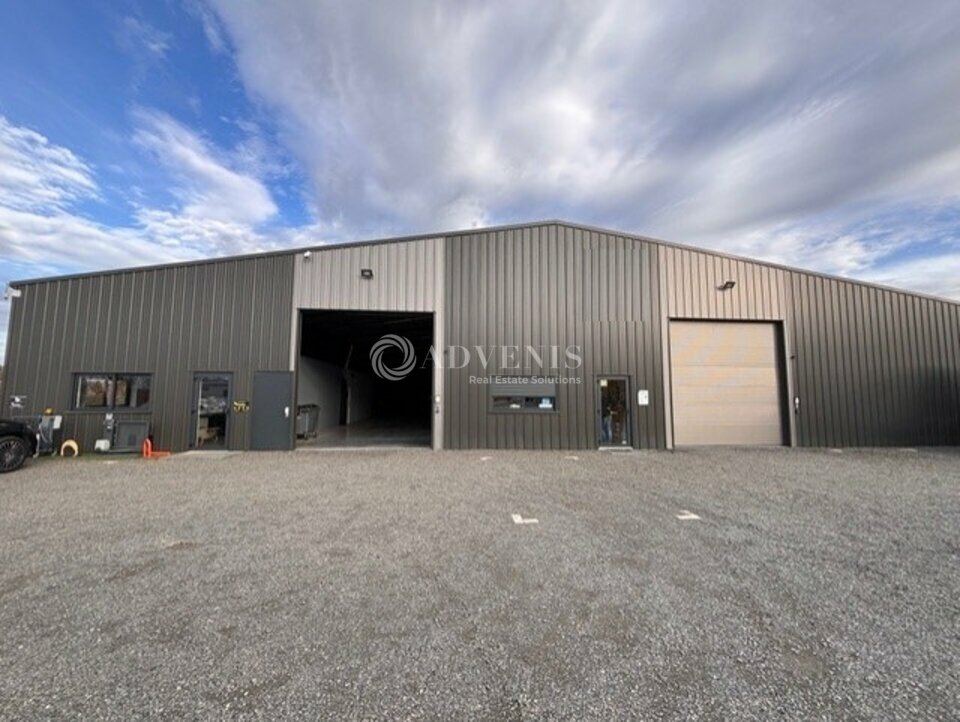 ADVENIS CONSEIL LE MANS VENTE-LOCAL D'ACTIVITE-SPAY-72