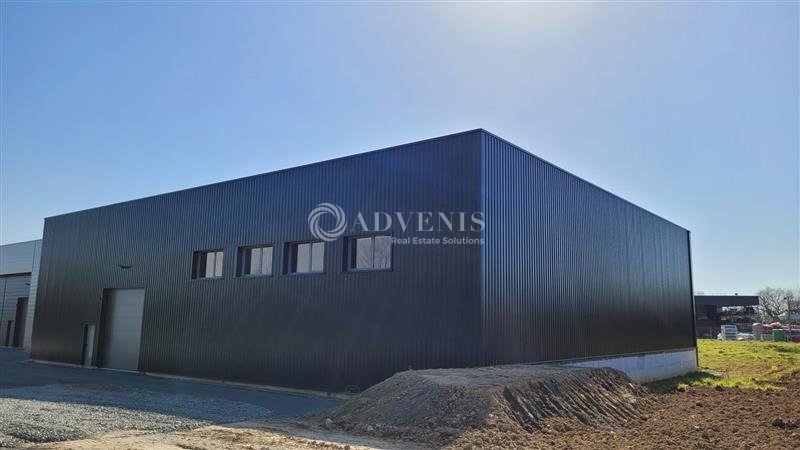ADVENIS CONSEIL NANTES LOCATION-LOCAL D'ACTIVITE-COUERON-44
