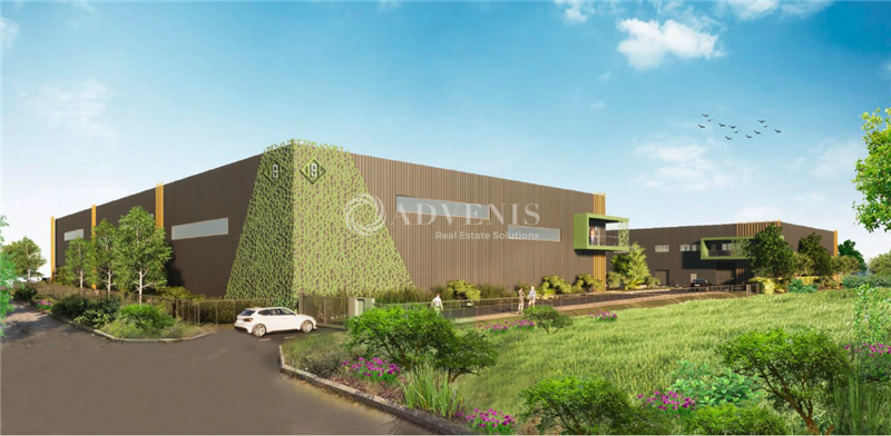 ADVENIS CONSEIL NARBONNE LOCATION-LOCAL D'ACTIVITE-MAUGUIO-34