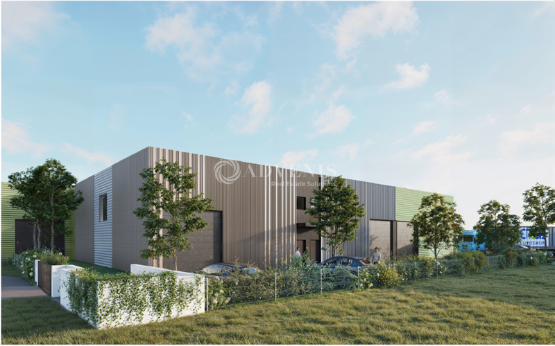 ADVENIS CONSEIL NARBONNE LOCATION-LOCAL D'ACTIVITE-BESSAN-34