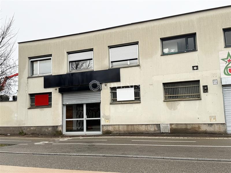 ADVENIS CONSEIL STRASBOURG LOCATION-LOCAL D'ACTIVITE-STRASBOURG-67