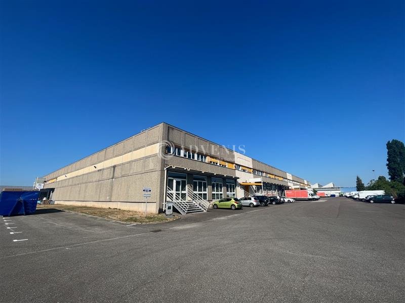 ADVENIS CONSEIL STRASBOURG LOCATION-ENTREPOT-STRASBOURG-67