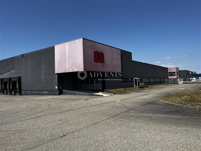 ADVENIS CONSEIL STRASBOURG LOCATION-ENTREPOT-ILLKIRCH_GRAFFENSTADEN-67