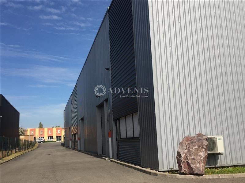 ADVENIS CONSEIL STRASBOURG LOCATION-LOCAL D'ACTIVITE-ILLKIRCH_GRAFFENSTADEN-67