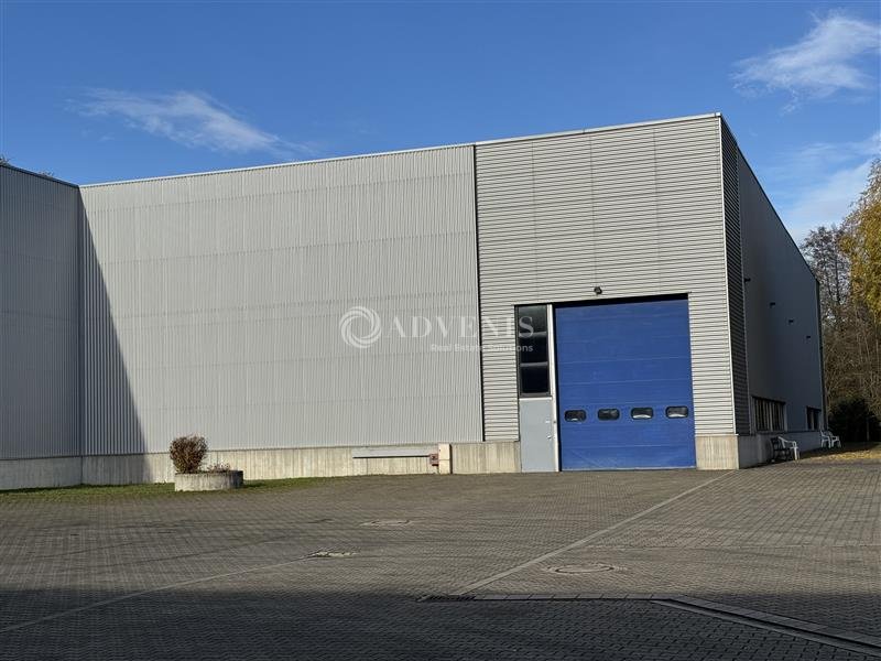 ADVENIS CONSEIL STRASBOURG LOCATION-LOCAL D'ACTIVITE-GEISPOLSHEIM-67