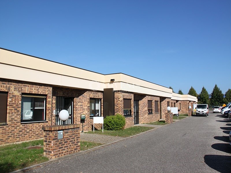 ADVENIS CONSEIL STRASBOURG LOCATION-LOCAL D'ACTIVITE-ECKBOLSHEIM-67