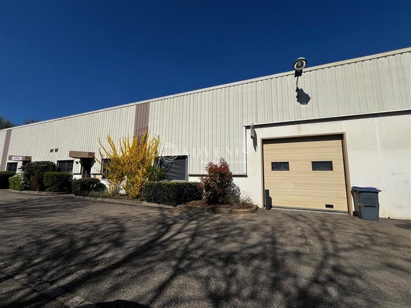 ADVENIS CONSEIL STRASBOURG LOCATION-LOCAL D'ACTIVITE-SCHILTIGHEIM-67