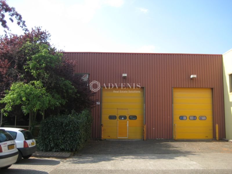 ADVENIS CONSEIL STRASBOURG LOCATION-LOCAL D'ACTIVITE-LINGOLSHEIM-67