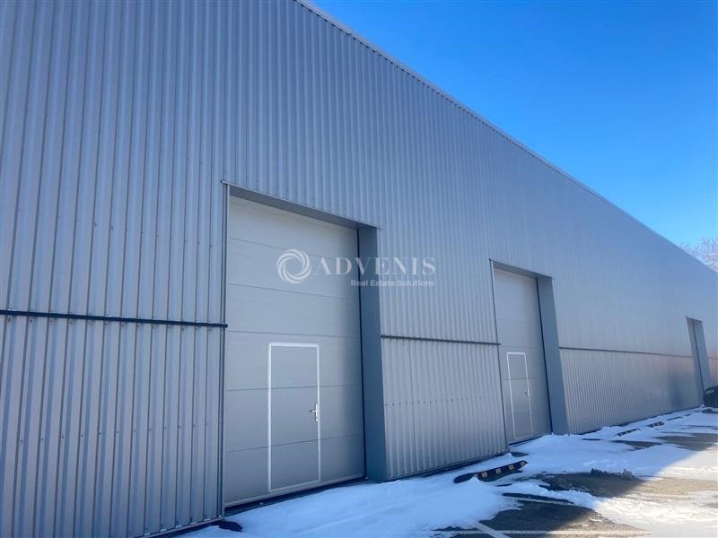ADVENIS CONSEIL STRASBOURG LOCATION-LOCAL D'ACTIVITE-BISCHHEIM-67