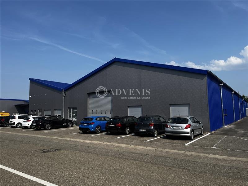 ADVENIS CONSEIL STRASBOURG LOCATION-LOCAL D'ACTIVITE-MUNDOLSHEIM-67