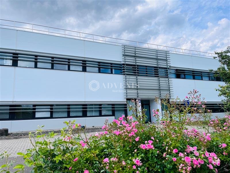 ADVENIS CONSEIL STRASBOURG LOCATION-BUREAUX-SCHILTIGHEIM-67