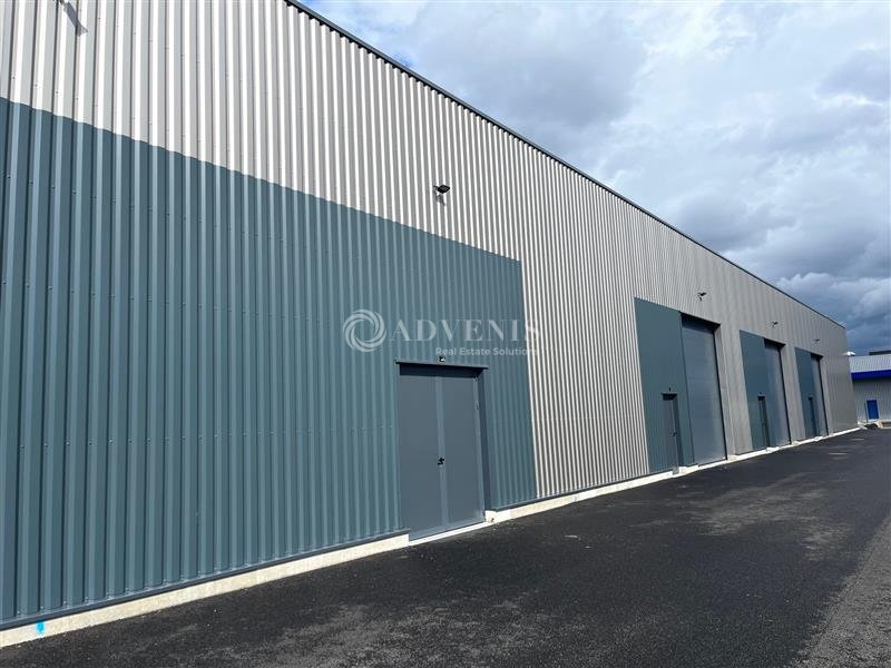 ADVENIS CONSEIL STRASBOURG LOCATION-LOCAL D'ACTIVITE-HOERDT-67