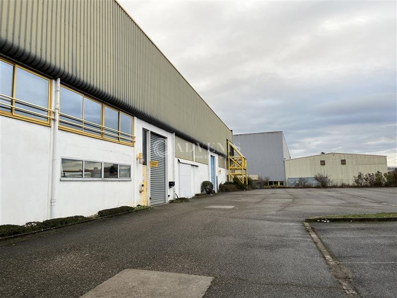 ADVENIS CONSEIL STRASBOURG VENTE-LOCAL D'ACTIVITE-OBERNAI-67