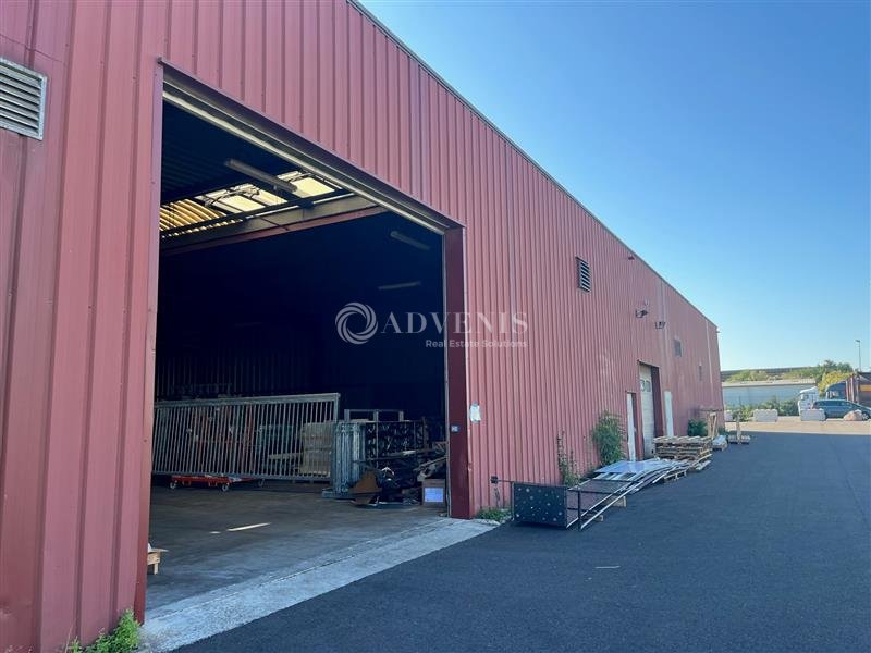 ADVENIS CONSEIL STRASBOURG LOCATION-LOCAL D'ACTIVITE-ERSTEIN-67