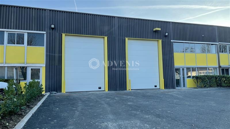 ADVENIS CONSEIL IDF EST LOCATION-LOCAL D'ACTIVITE-TORCY-77