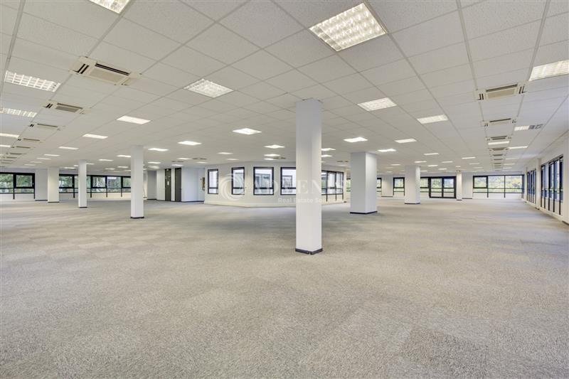 ADVENIS CONSEIL IDF OUEST LOCATION-BUREAUX-GUYANCOURT-78